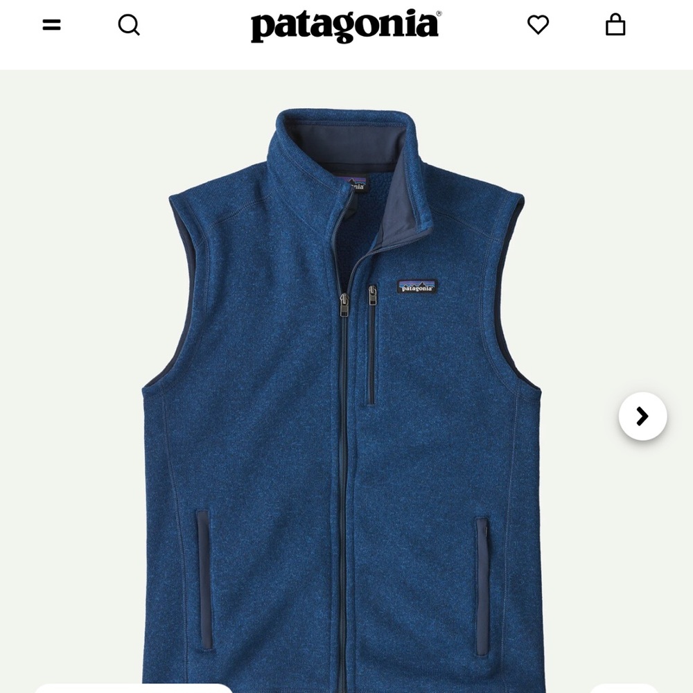 Patagonia better sweater fleece vest